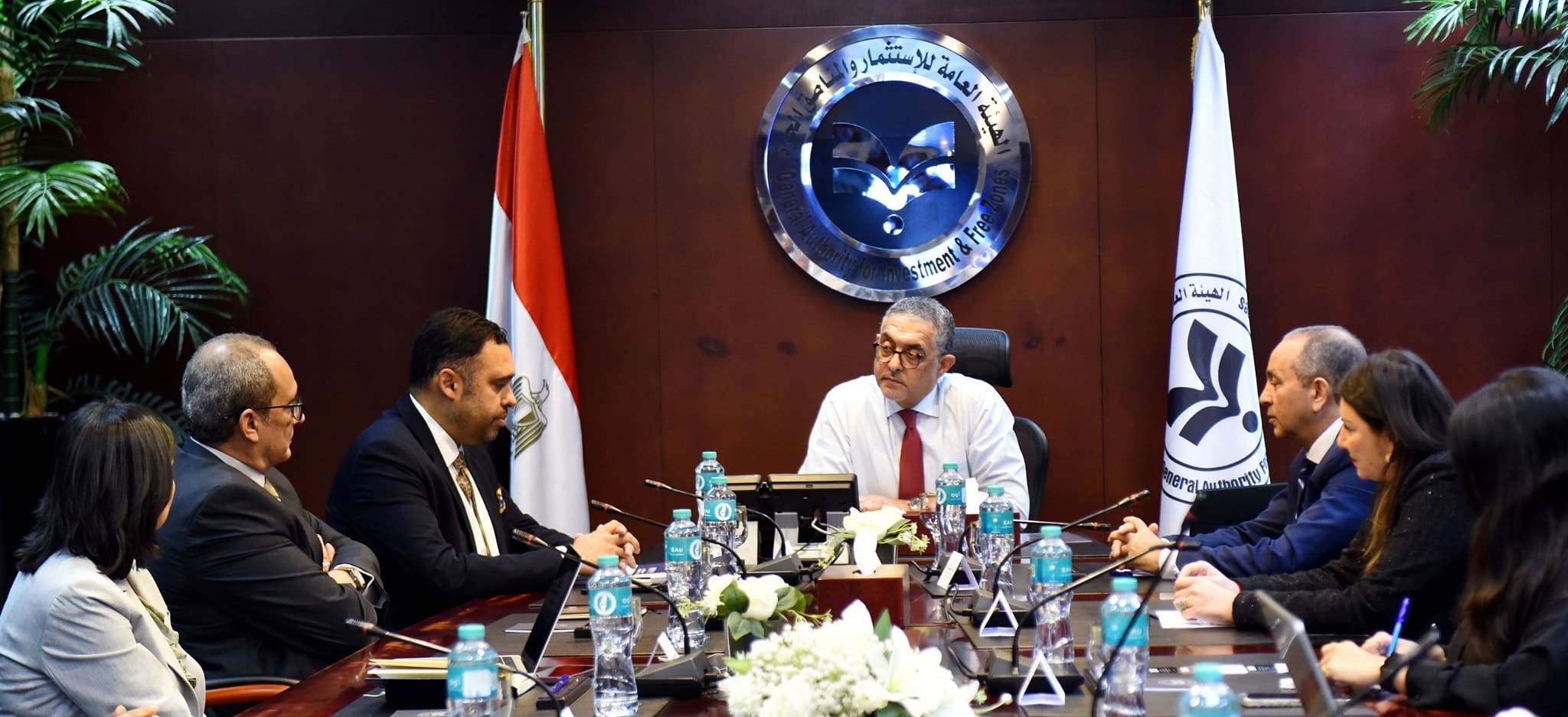 Canada's Borna to develop $40M membrane gas separation factory in Egypt

